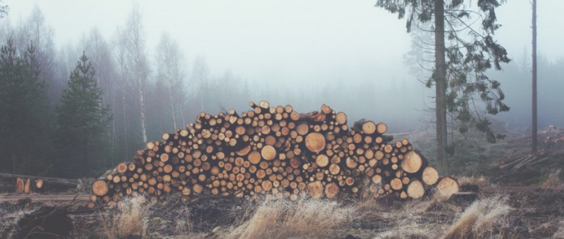 Photograph of the world Environment